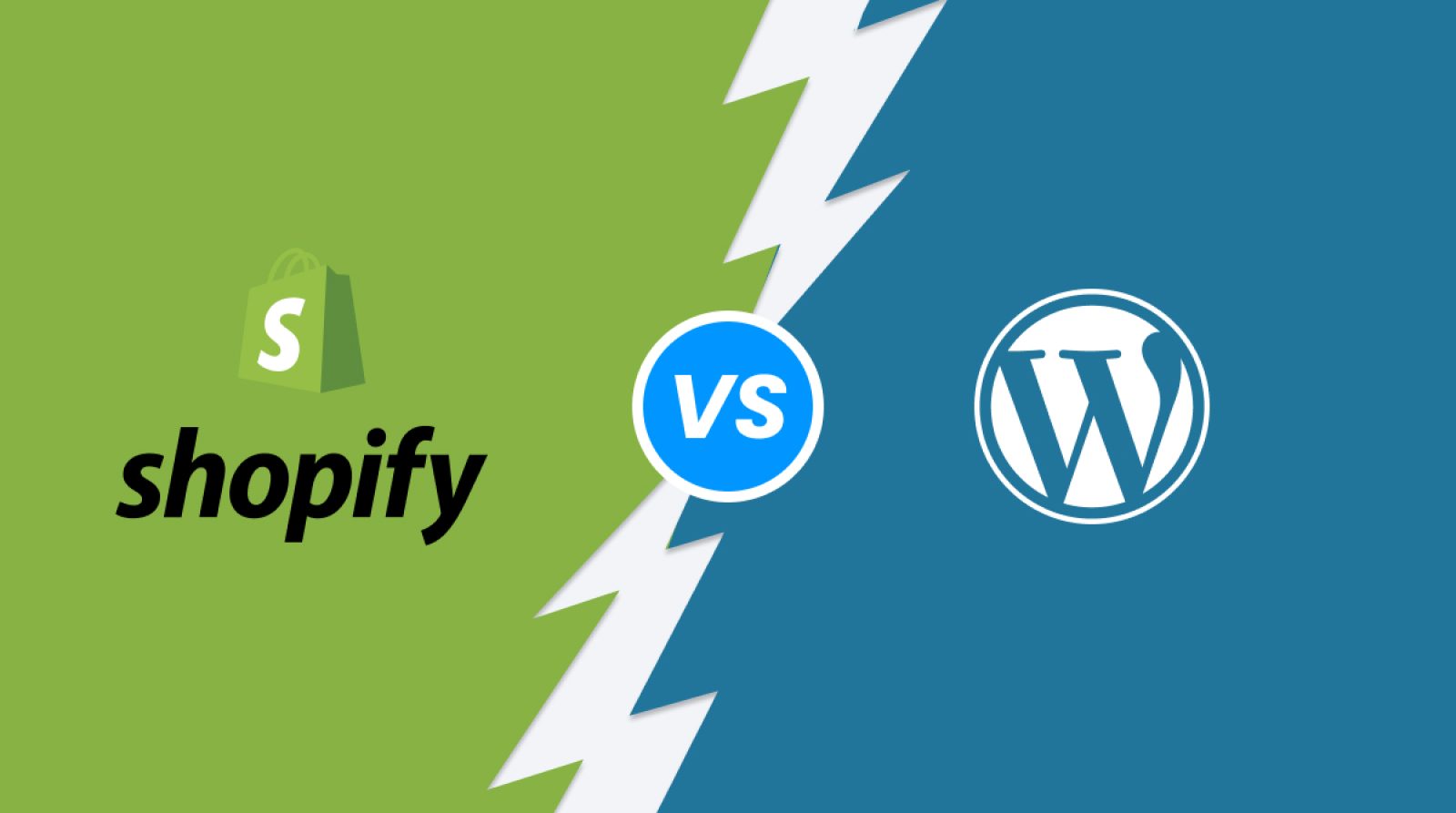 The Difference Between WordPress, Shopify, and Custom Programming — Which Fits Your Business Best?